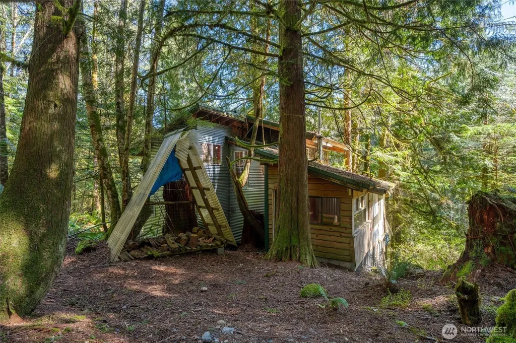 350 Cheetah Lane Sedro Woolley WA 98284