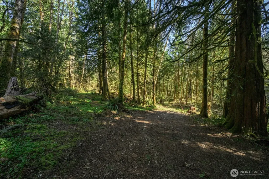 350 Cheetah Lane Sedro Woolley WA 98284