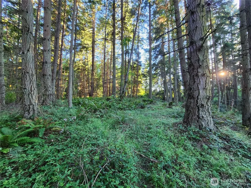 98249 Lancaster Road Freeland WA 98249