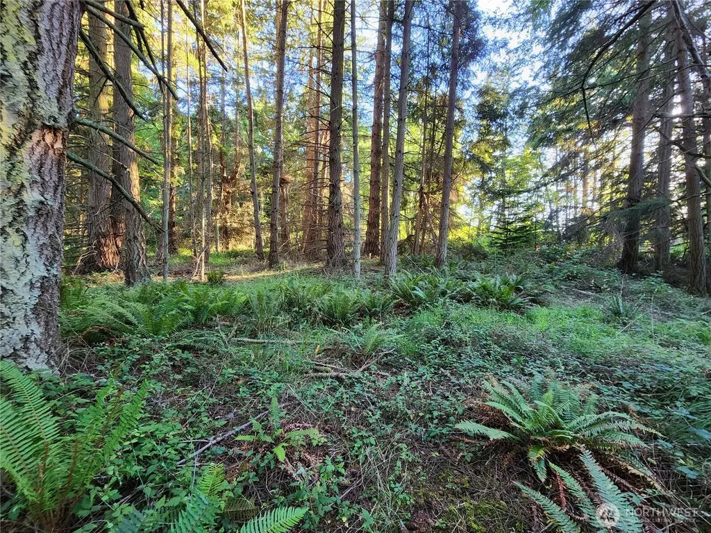 98249 Lancaster Road Freeland WA 98249