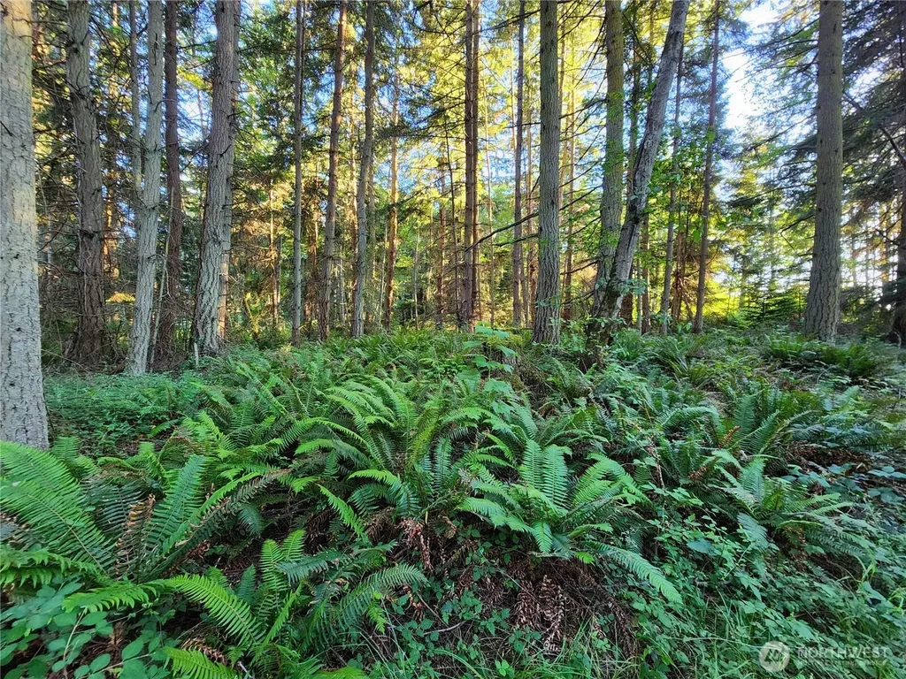 98249 Lancaster Road Freeland WA 98249