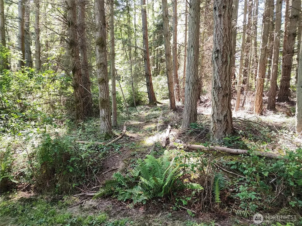 98249 Lancaster Road Freeland WA 98249