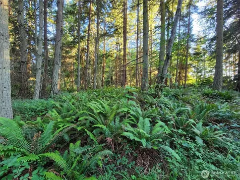 1664 Lancaster Road Freeland WA 98249