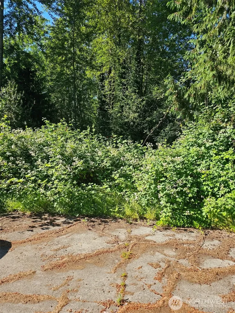 178 54th Place SW Lynnwood WA 98037