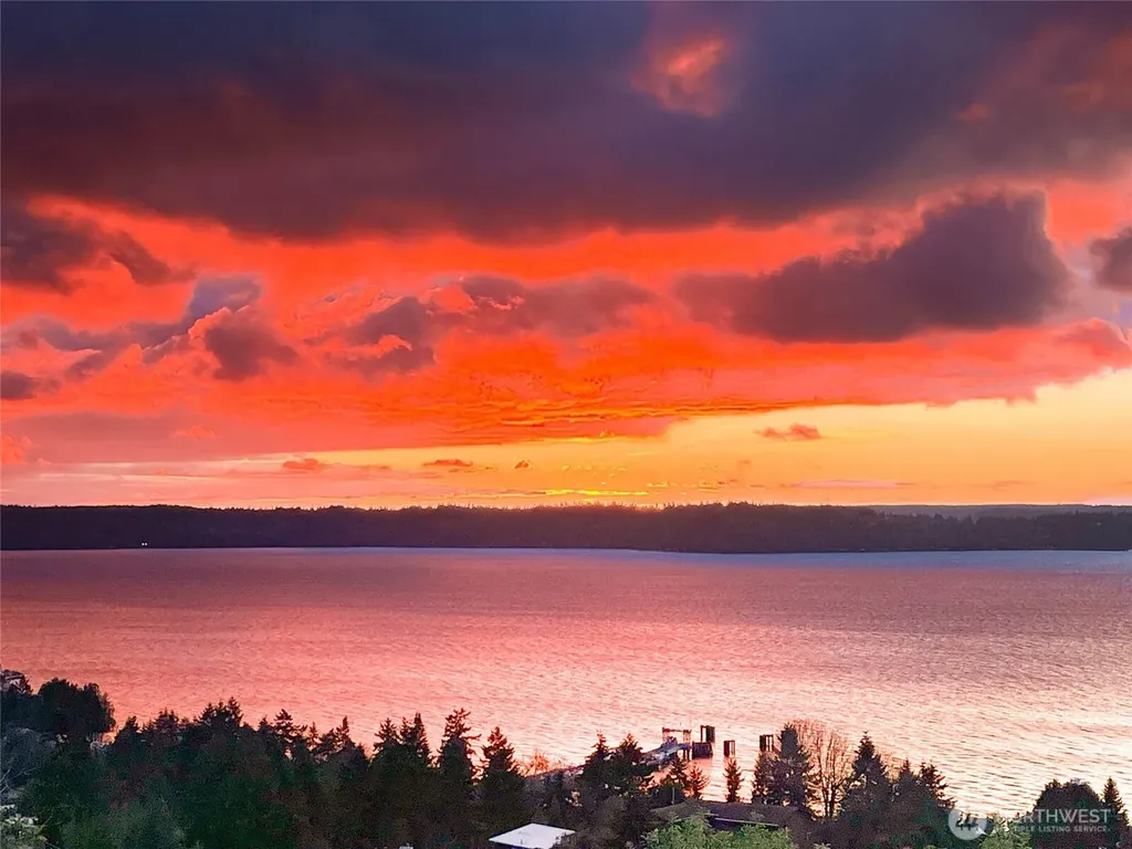 8447 42nd Avenue SW Seattle WA 98136