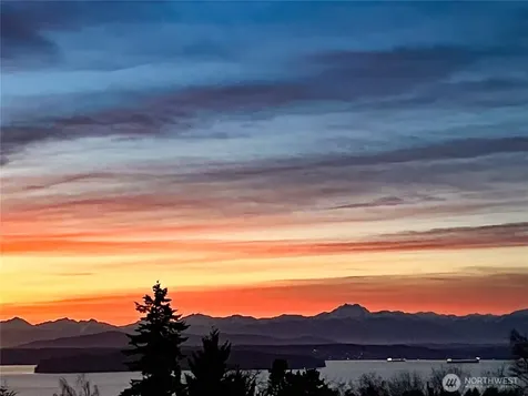 8447 42nd Avenue SW Seattle WA 98136