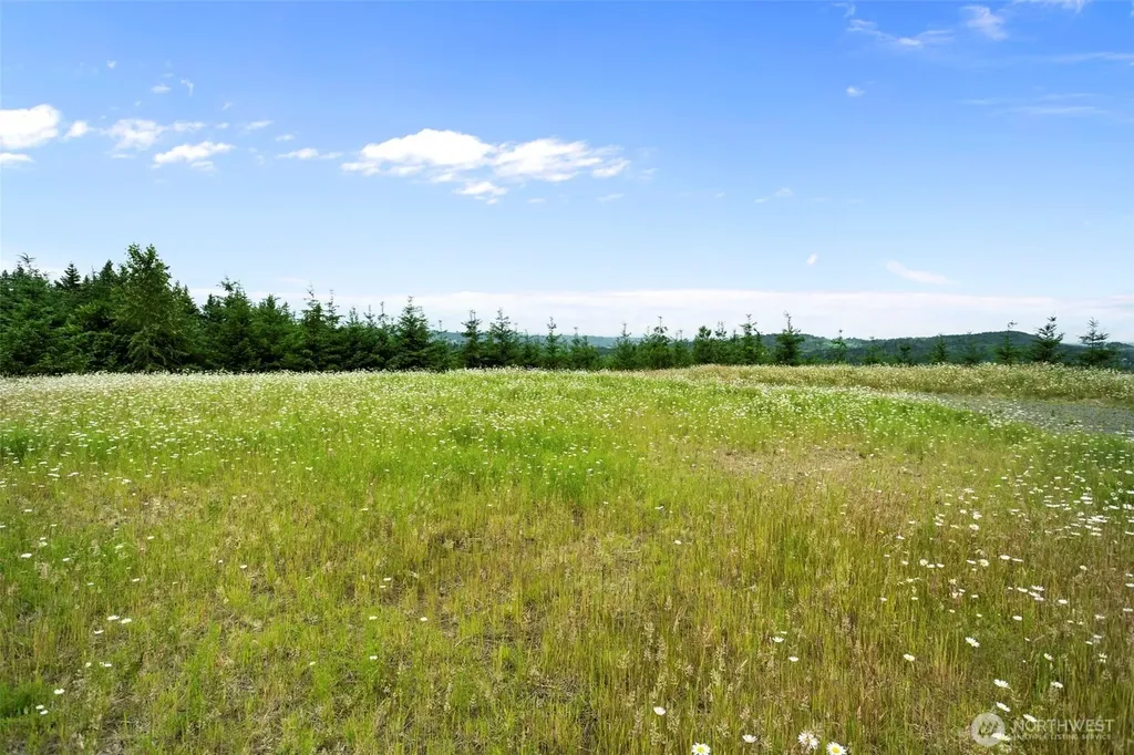 104 Bootjack Lane Kelso WA 98626