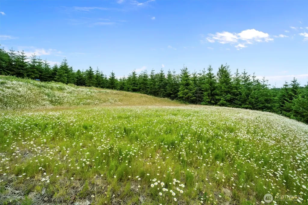 104 Bootjack Lane Kelso WA 98626
