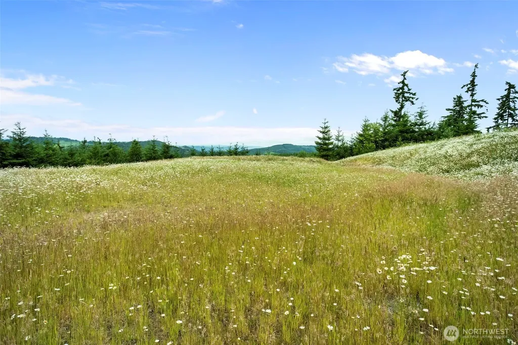 104 Bootjack Lane Kelso WA 98626
