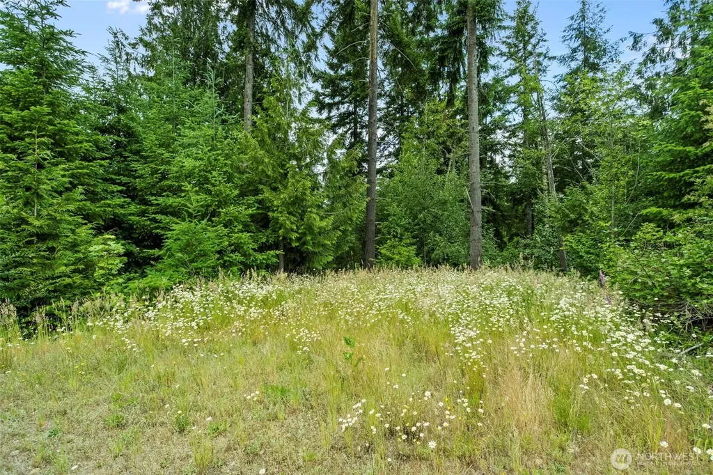 104 Bootjack Lane Kelso WA 98626