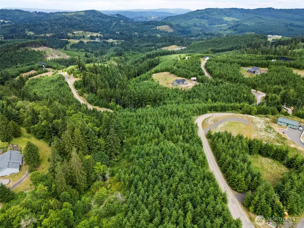 104 Bootjack Lane Kelso WA 98626