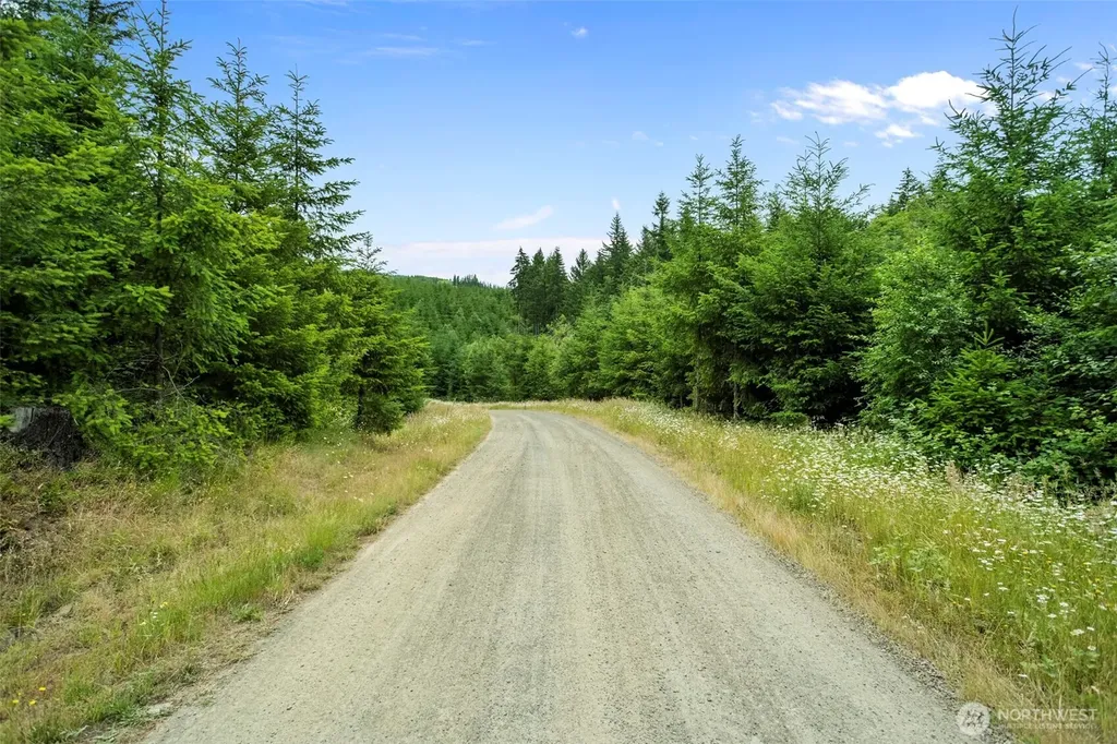 104 Bootjack Lane Kelso WA 98626
