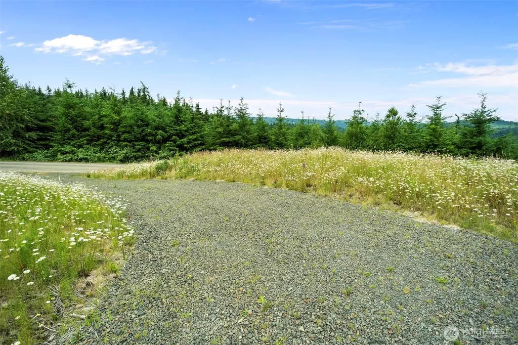 104 Bootjack Lane Kelso WA 98626