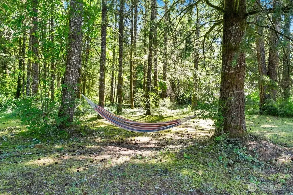520 140th Avenue SW Tenino WA 98589