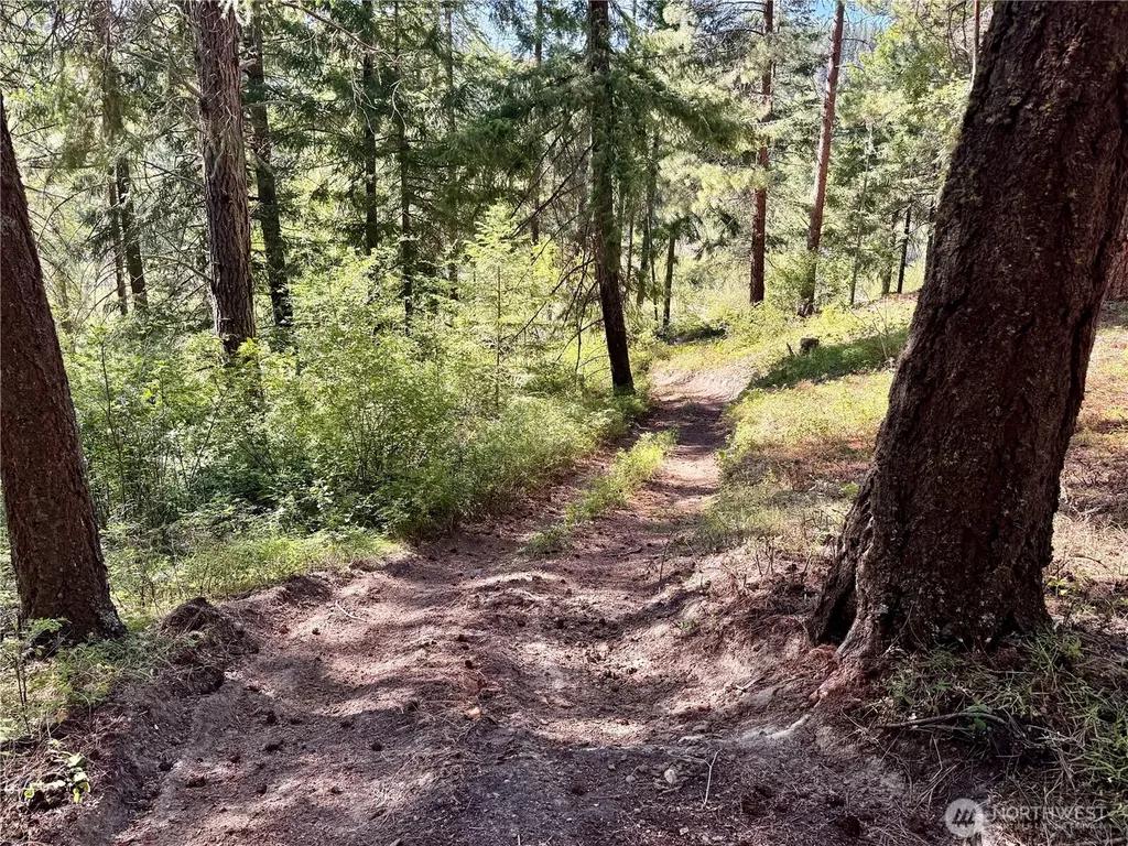 0 Ridgewater Drive Cle Elum WA 98922