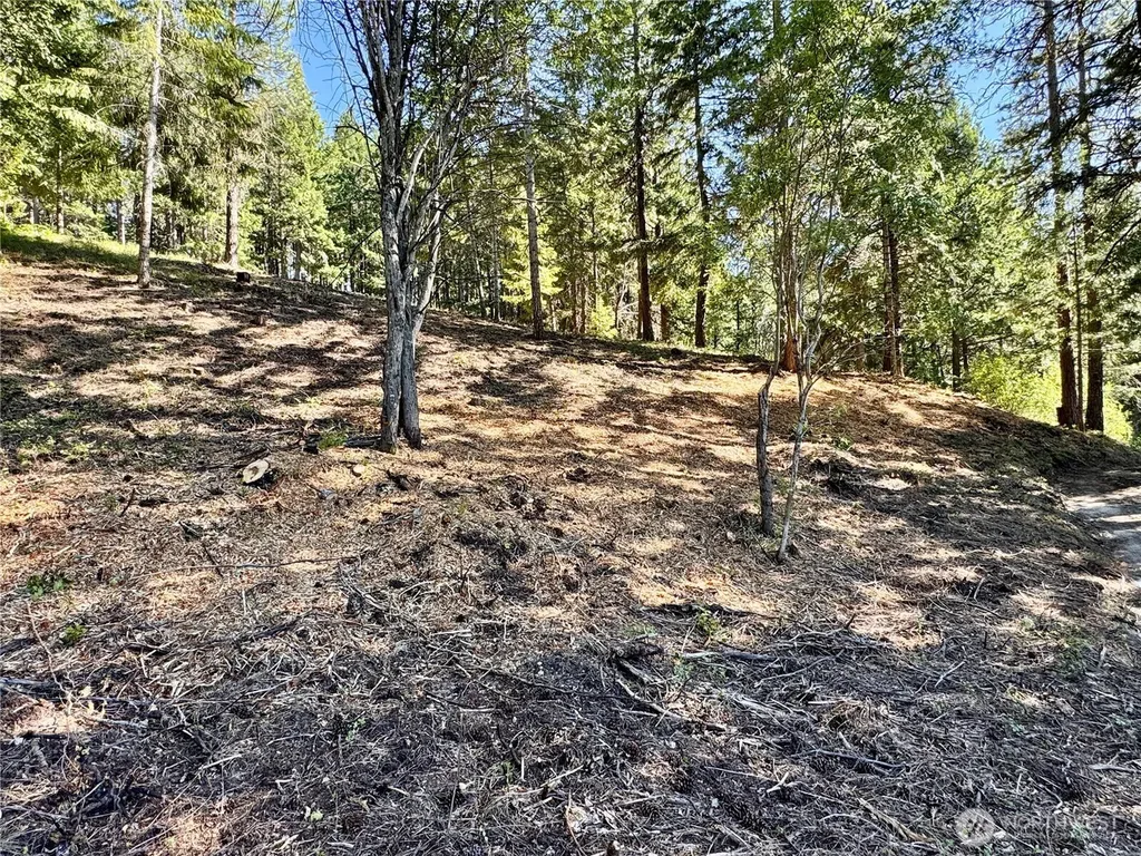 0 Ridgewater Drive Cle Elum WA 98922