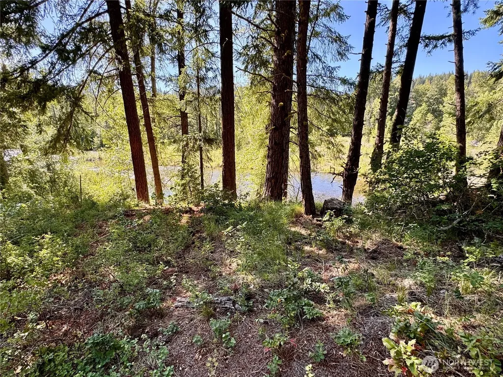 0 Ridgewater Drive Cle Elum WA 98922