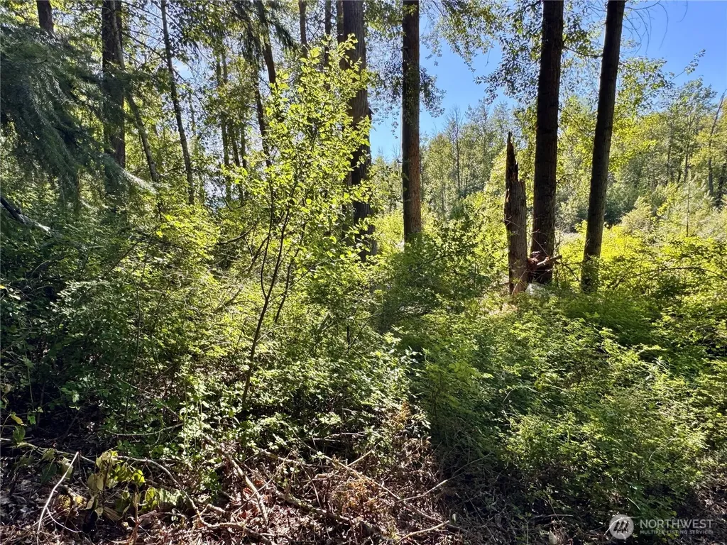 0 Ridgewater Drive Cle Elum WA 98922