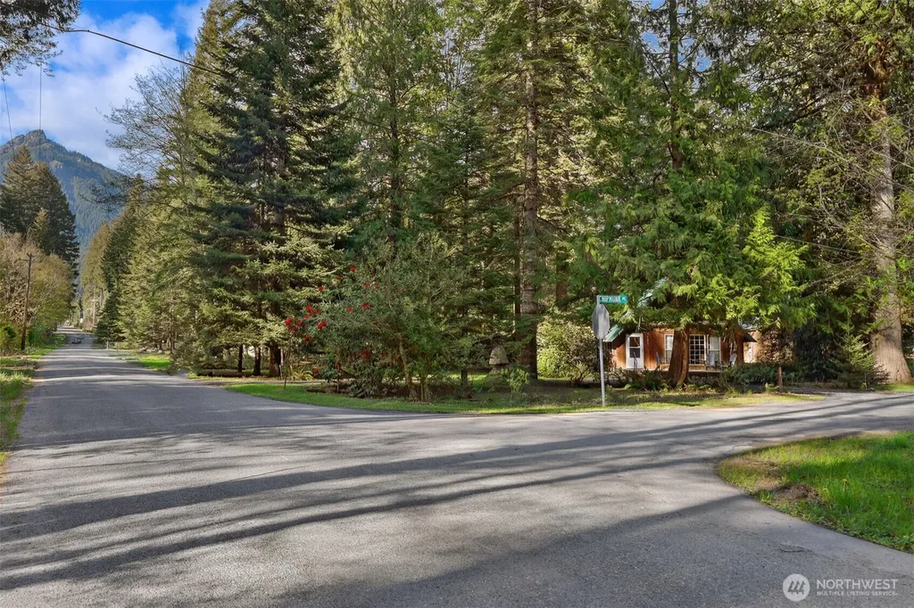 101 Chipmunk Place Packwood WA 98361