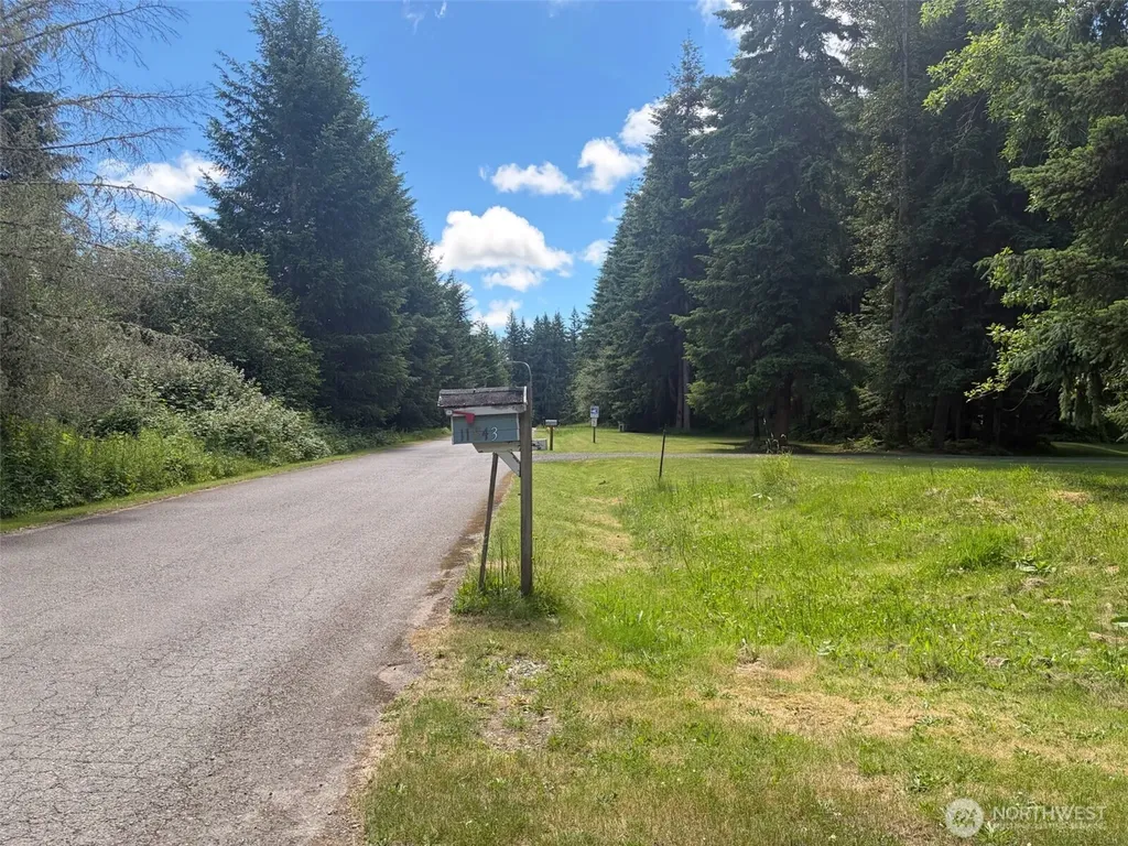11843 Blue Glacier Lane SE Yelm WA 98597