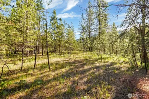 0 Us Highway 97 Peshastin WA 98847