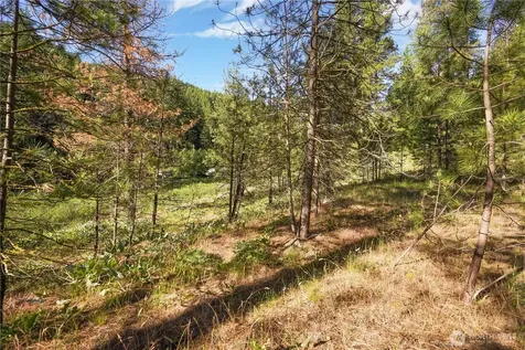 0 Us Highway 97 Peshastin WA 98847