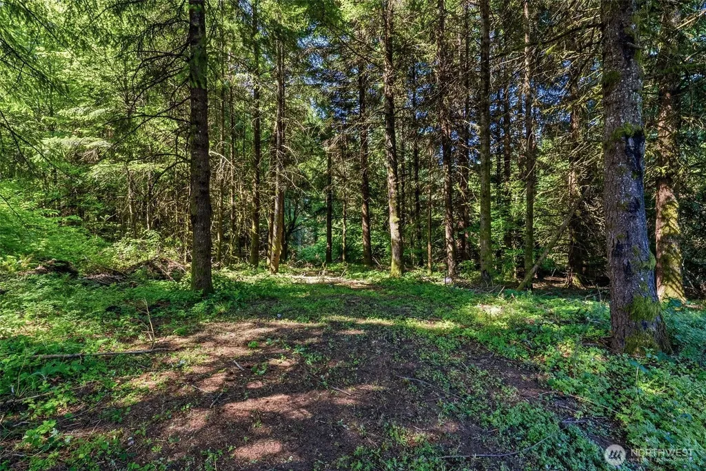 210 Webster Lane Woodland WA 98674