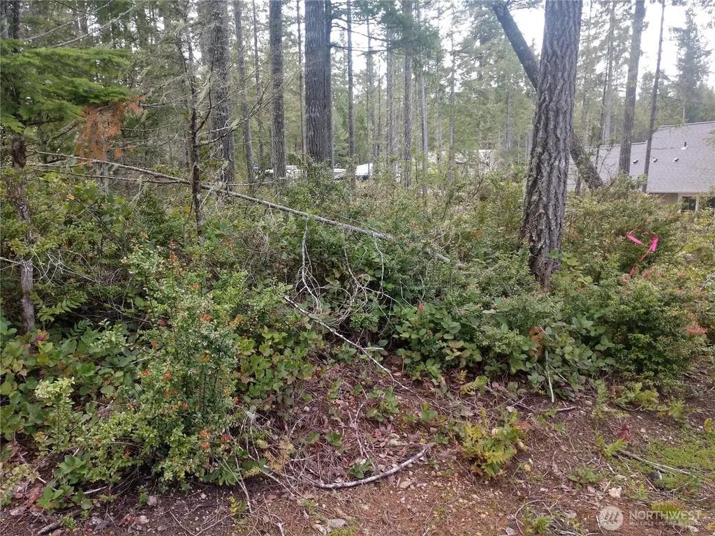 161 E Blackberry Lane Union WA 98592