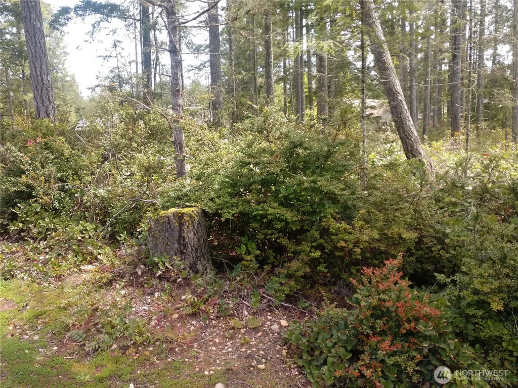 161 E Blackberry Lane Union WA 98592