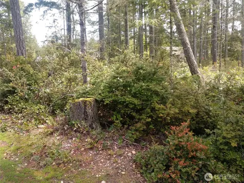 161 E Blackberry Lane Union WA 98592