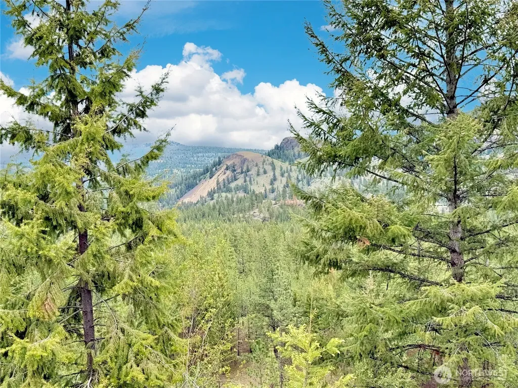 1942 Lyman Lake-moses Meadows Road Tonasket WA 98855