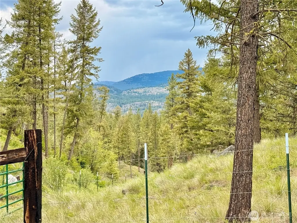 1942 Lyman Lake-moses Meadows Road Tonasket WA 98855