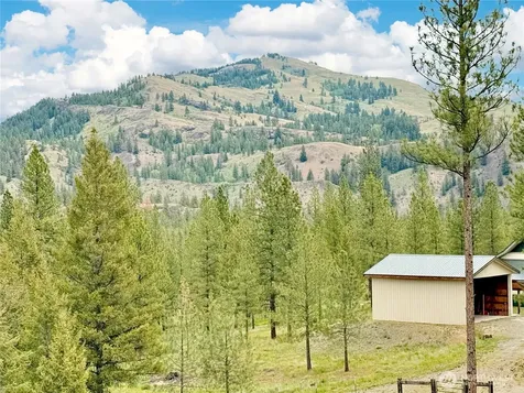 1942 Lyman Lake-moses Meadows Road Tonasket WA 98855