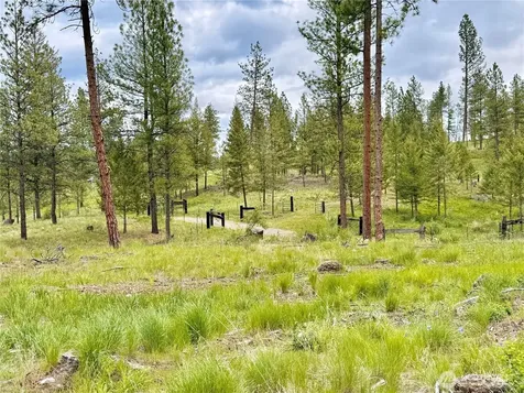 1942 Lyman Lake-moses Meadows Road Tonasket WA 98855