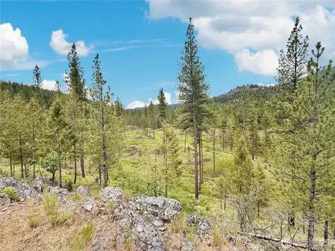 1942 Lyman Lake-moses Meadows Road Tonasket WA 98855