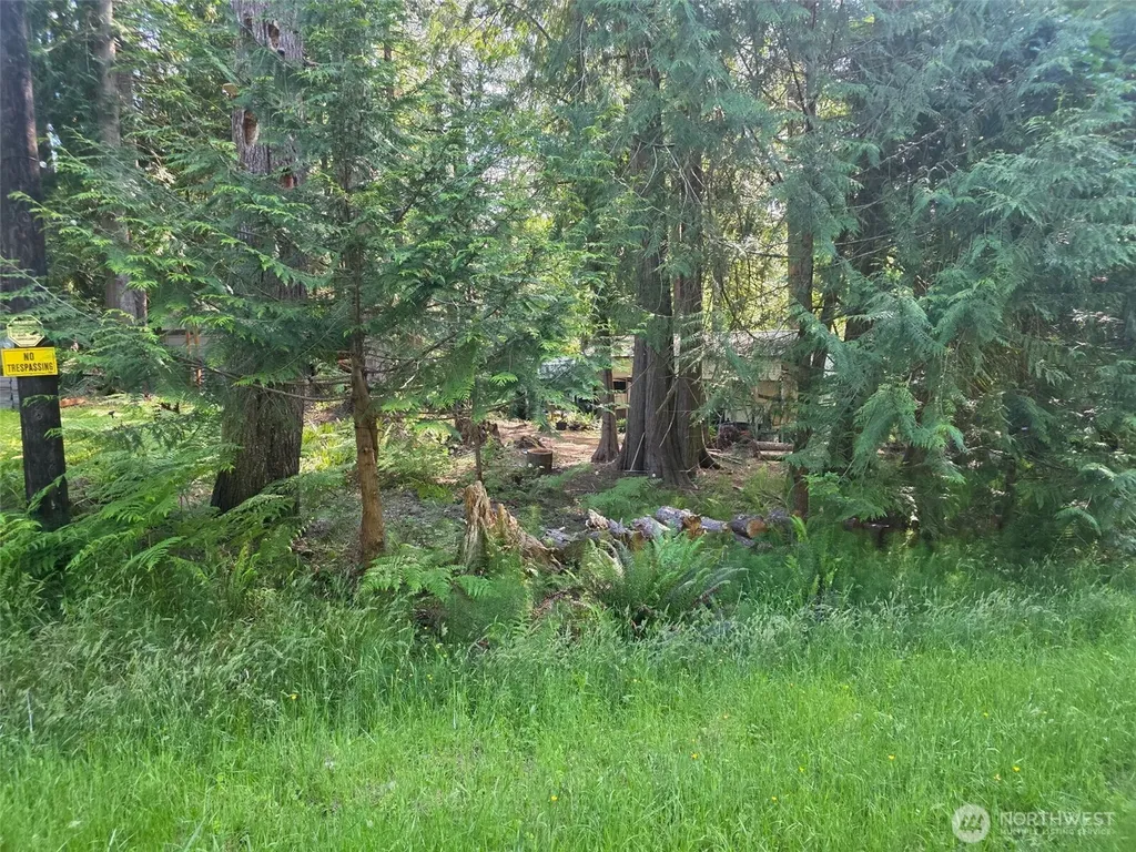 71 E Lakeshore Drive E Shelton WA 98584