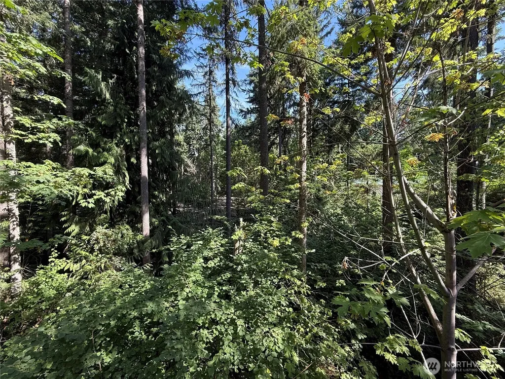 22702 Briarwood Court SE Yelm WA 98597