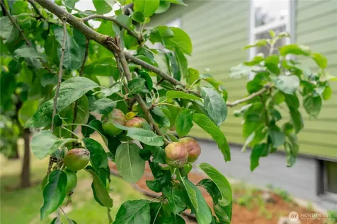 1402 S 80th Street Tacoma WA 98408