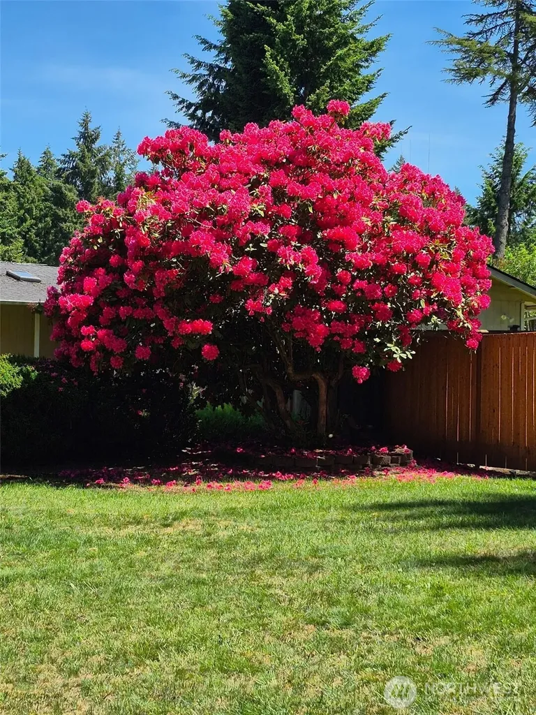5708 78th Street E Puyallup WA 98371