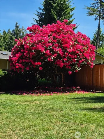 5708 78th Street E Puyallup WA 98371