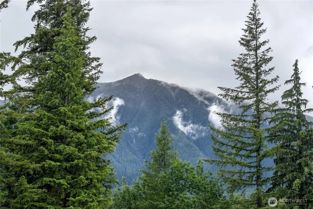 46605 SE 156th Place North Bend WA 98045