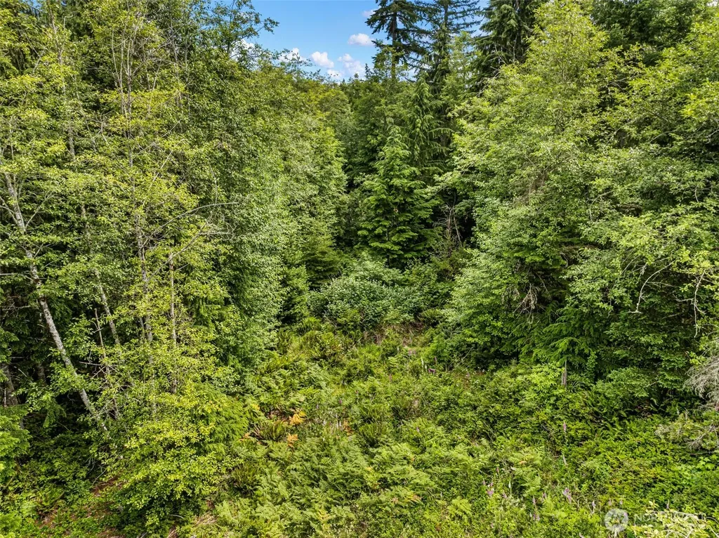 1 Andy Rogers Place NW Seabeck WA 98380