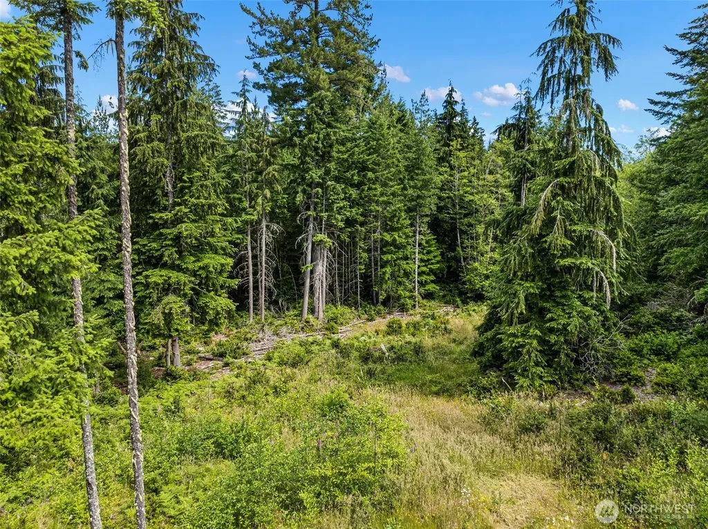 1 Andy Rogers Place NW Seabeck WA 98380