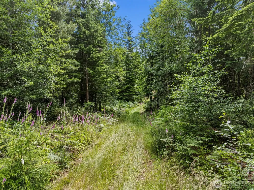 1 Andy Rogers Place NW Seabeck WA 98380