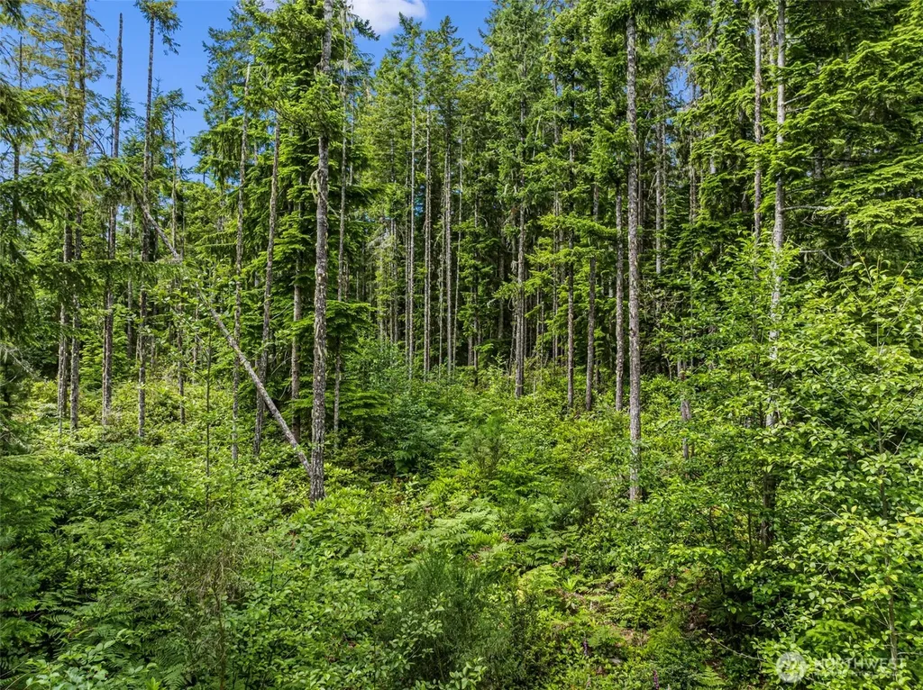 1 Andy Rogers Place NW Seabeck WA 98380