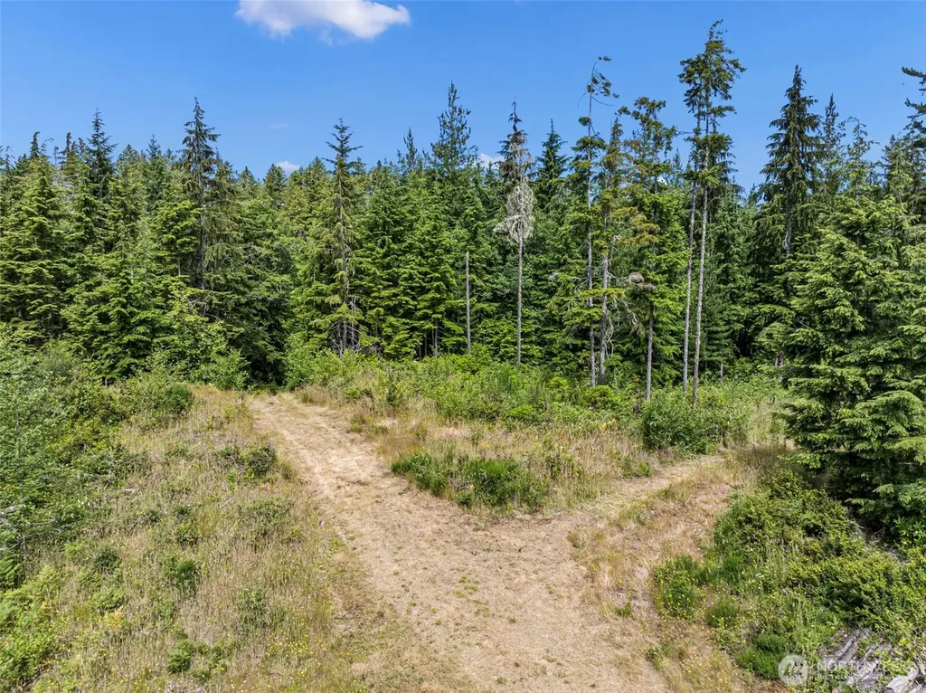 1 Andy Rogers Place NW Seabeck WA 98380