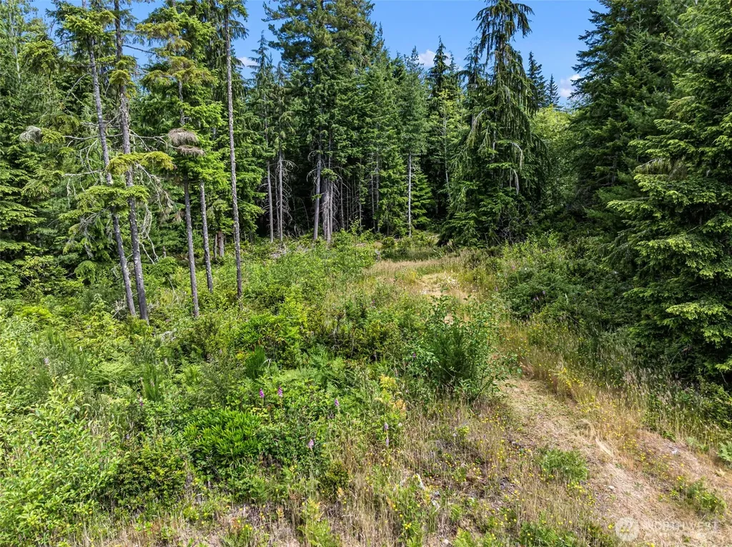 1 Andy Rogers Place NW Seabeck WA 98380