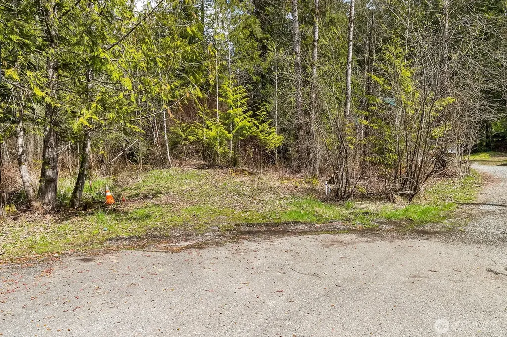 17045 Iceberg Road Glacier WA 98244