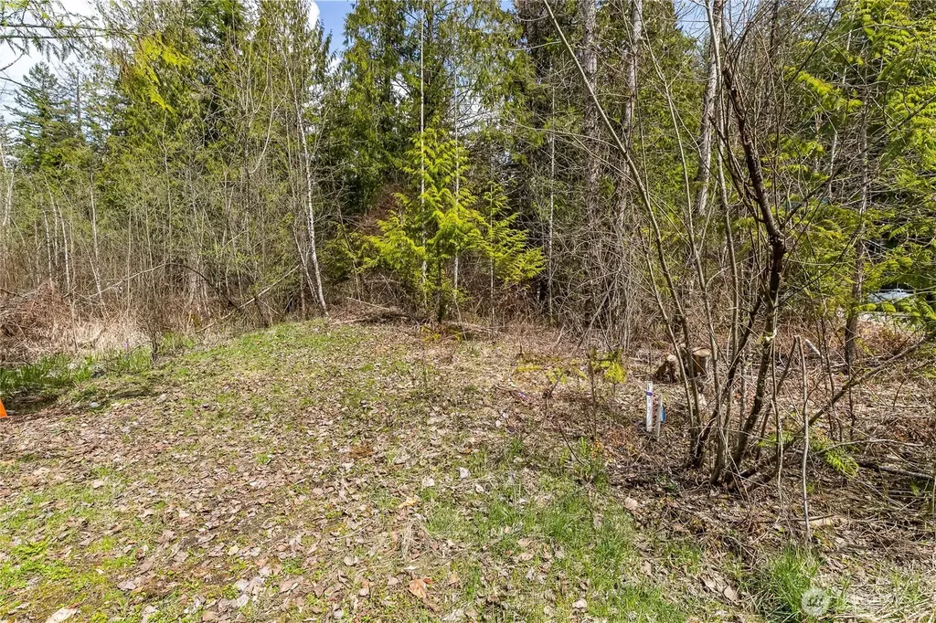 17045 Iceberg Road Glacier WA 98244