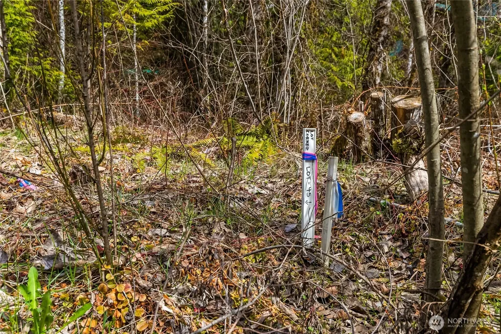 17045 Iceberg Road Glacier WA 98244